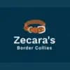 Zecara’s profile