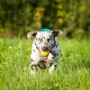 of KaWi’s trailing Spots profile
