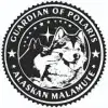 Guardian of Polaris profile