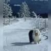 Blizzards profile
