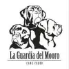La Guardia del Mooro profile