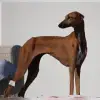 Ehen-n-ma profile