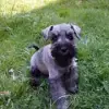 Avalon's profile
