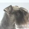 von der Holledau profile