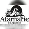 Atamarie profile