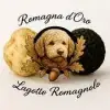 Romagna d'Oro profile