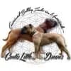 Contis Little Dream's profile