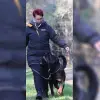 vom Goldhügel profile