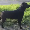 vom Siedlungshof profile