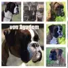 von Agadem profile
