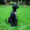 von der Mooshexe profile