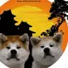of Shukeiyen Kensha profile