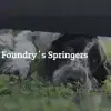 Foundry’s profile
