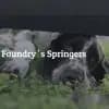 Foundry’s profile
