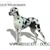 vom Garten Harlekin profile