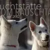 vom Rauschtal profile