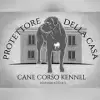Protettore della casa profile
