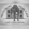 Protettore della casa profile