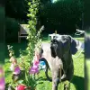 vom Bismarckwäldchen profile