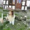 vom Weidenhof profile