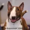 vom Kaiserstuhl profile