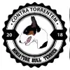 Contra Torrentem profile