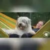von den Keksdieben profile