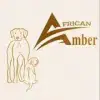 African Amber profile