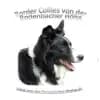 von der Rodenbacher Höhe profile