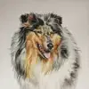 of the Landlord’s Pride profile