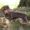 von der Tafelrunde profile
