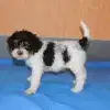 von den BaBoTiTa’s profile