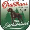 vom Sachsenland profile