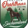 vom Sachsenland profile