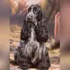 Negro's profile