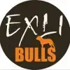 Exli-Bulls profile