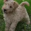 von der Passion profile
