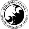 von BlackMoonIcies profile