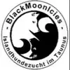 von BlackMoonIcies profile
