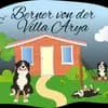 Berner von der Villa Arya profile