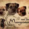von den Moorgeistern profile