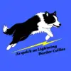 As quick as Lightning profile
