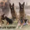 von der guten Freundschaft profile