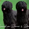 von Donner & Doria profile