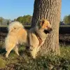 vom schönsten Dorf profile