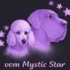 vom Mystic Star profile