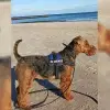 von der Birke profile