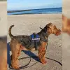von der Birke profile
