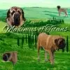 Maximus of Titans profile