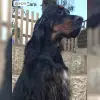 von den Sternensuchern profile